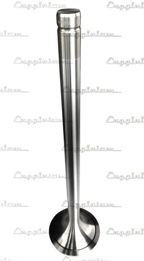 121010-Inlet valve 20° [MWH 25.021]