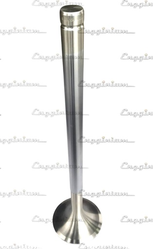 121006-Exhaust valve 30°, V32 [MWH 25.154]