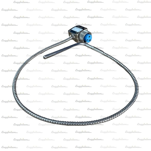 0050L290507-EG Temp. sensor, W20 [520mm, with connector, without thermowell]
