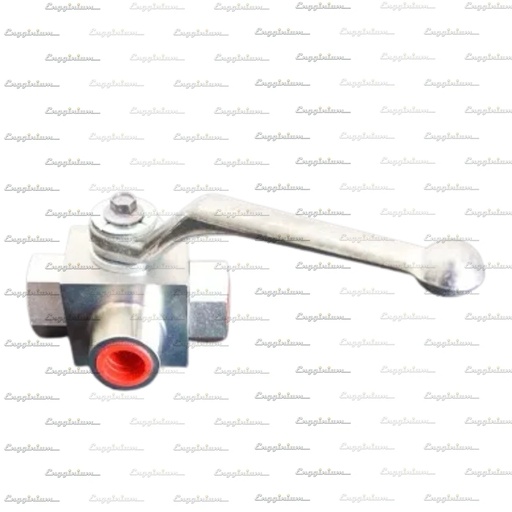 3-way valve, V32 [Compressor washing]