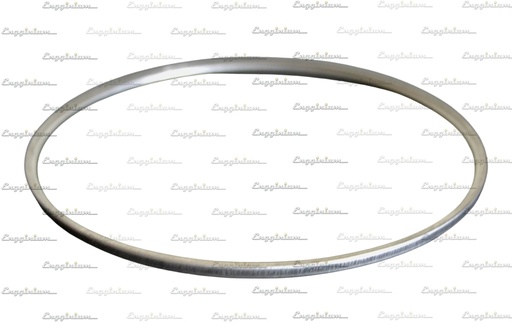 Gasket ring [Double jacketed, SS304 + Graphite, 880053]