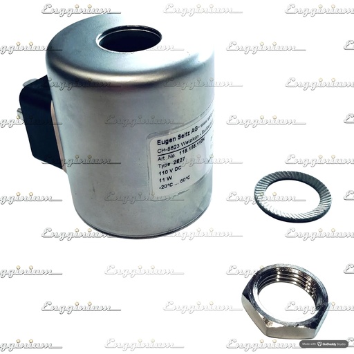 118.156.110N-Solenoid coil [2E27]