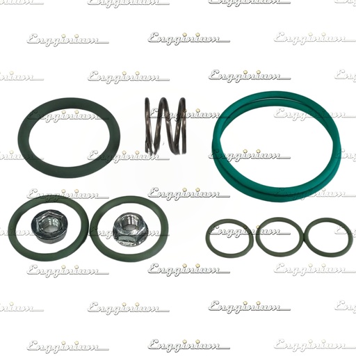 115.726.01-Repair kit [Sealing set]