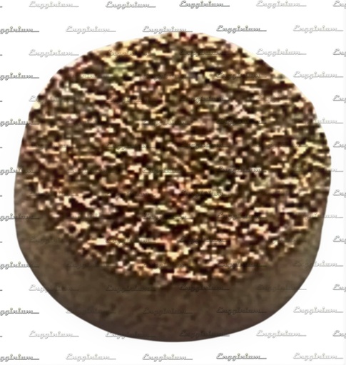 217034-Filter [Main starting valve]
