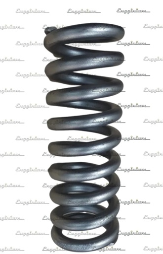 181021-Compression spring, WL32