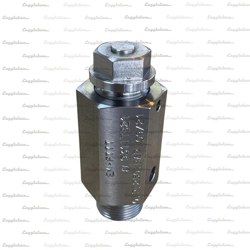1250-001-Cylinder head safety valve