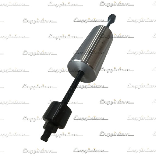800029-Removing tool for injector & starting valve