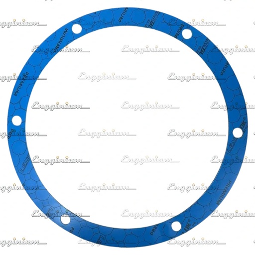 Gasket [880391]