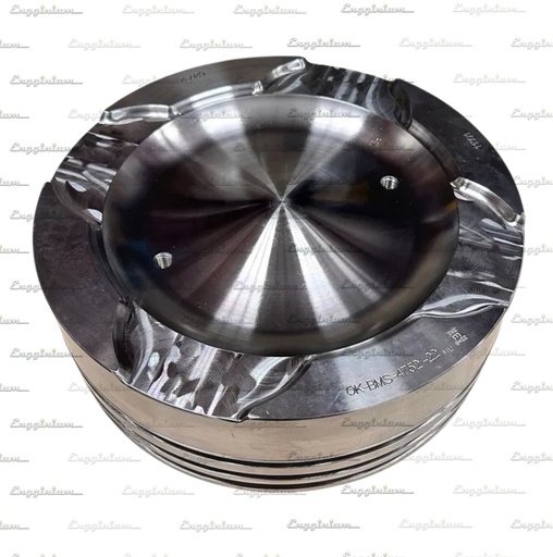 113003-Piston crown, W32 [Mahle]