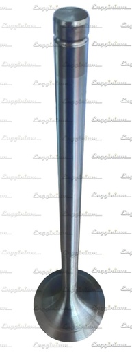 121012-Inlet valve 20° [MWH 25.115]