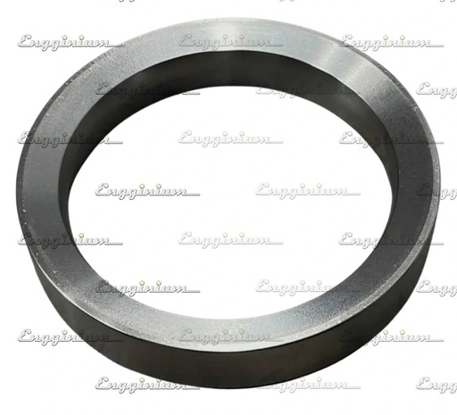 120021-Seat Ring Inlet 20°