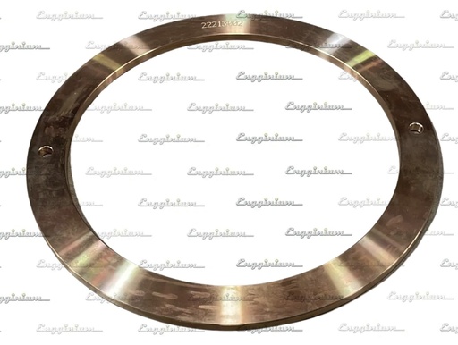 Thrust bearing bush [Ø250]