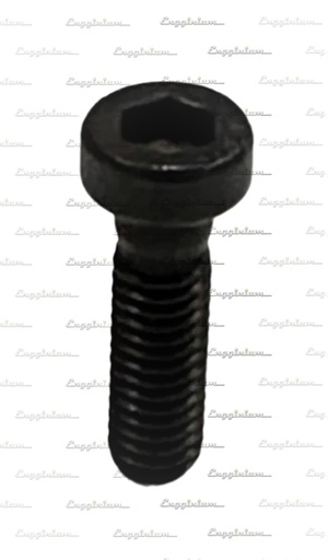 165057-Screw, W32 [PEO-T553]