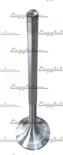 121006-Exhaust valve 30°, W34 [MWH-25.282]