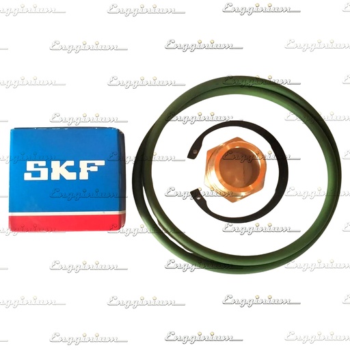 473452-Bearing kit, FM200DS