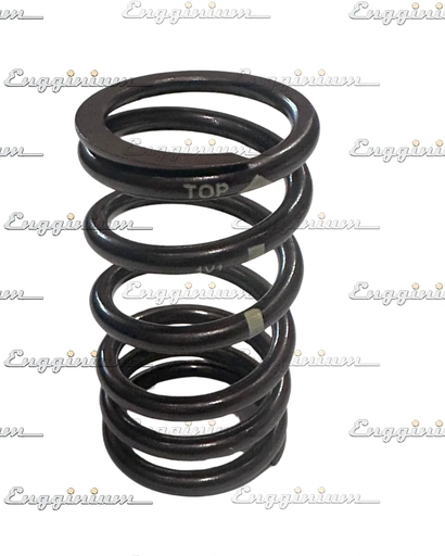 5559727/3643725-Spring valve, KTA50G3