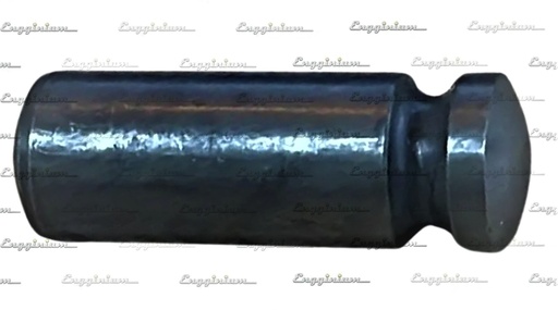 224018-Shaft for lever