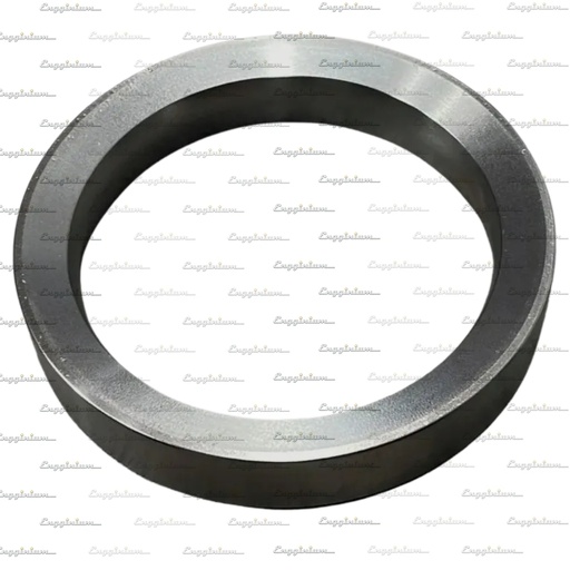 120021-Seat Ring inlet 20° [IN]