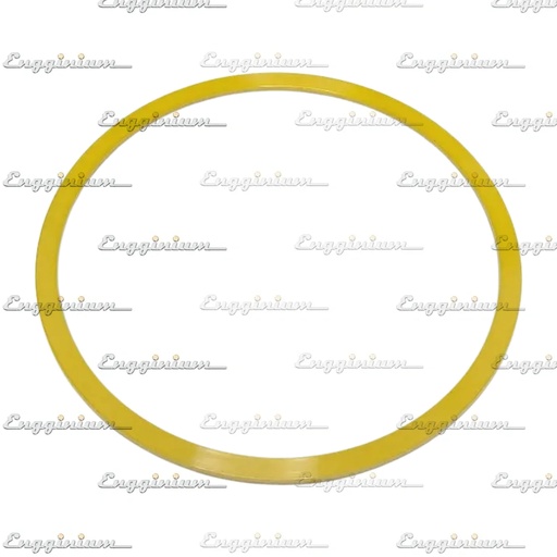 Support ring [880028]