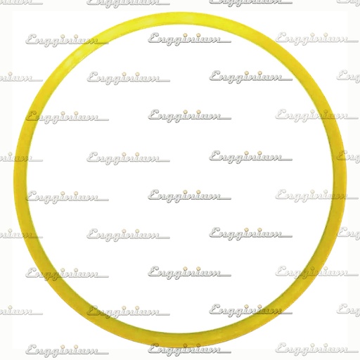 Support ring [880436]