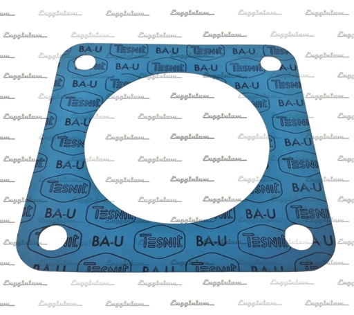 Gasket, V32 [880385]