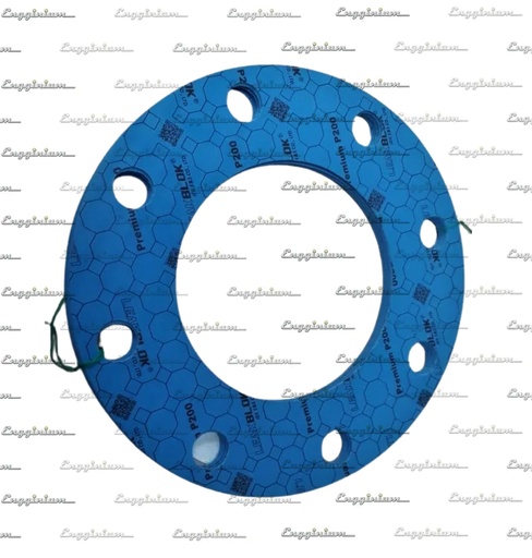 Gasket, DN150 [880408]