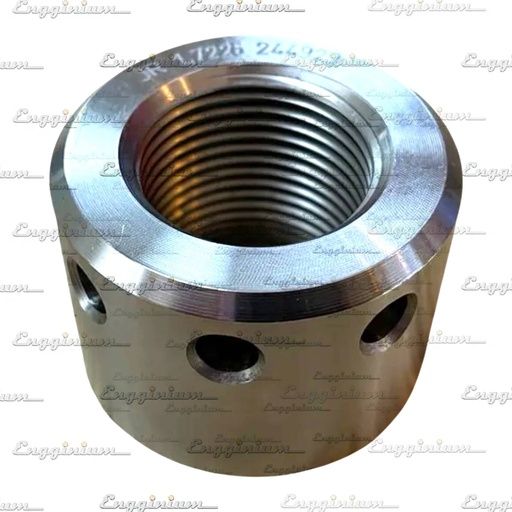 111006-Nut [M30, V32LN]