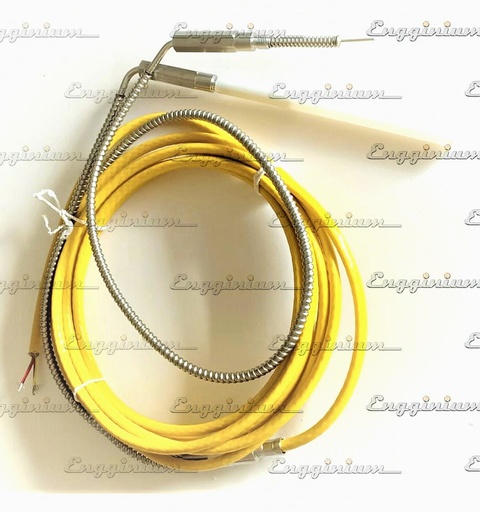 5071249-Cylinder liner temp. sensor, W34 [Duplex]