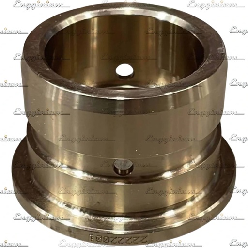 223003-Bearing bush