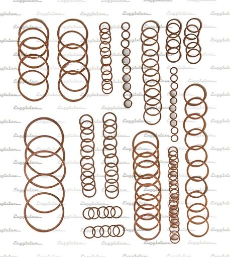 Sealing ring set [880546]