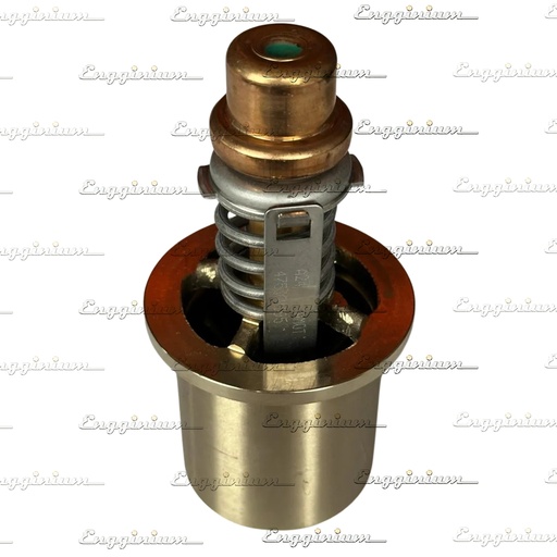 Thermostatic Element, H.T. [Anti-cavitation, 47536x205]