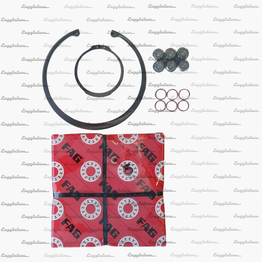 181077-Service kit [181-0019, Sealing set]