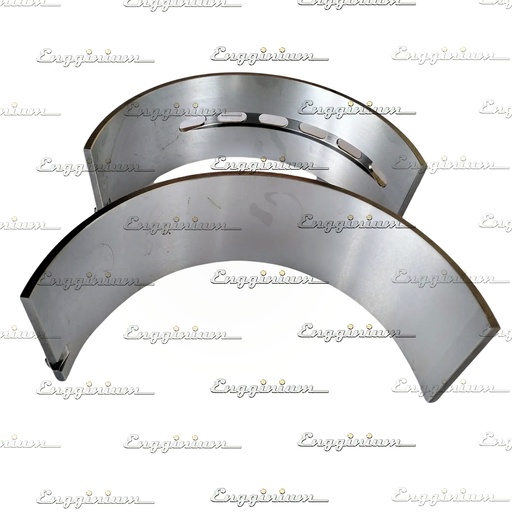 111010-Big end bearing set, W20 [STD.]