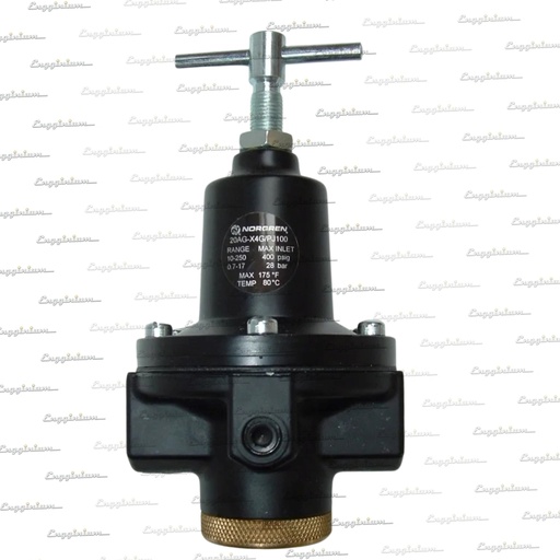 218007-2-Pressure regulating valave, W20 [Type 2]