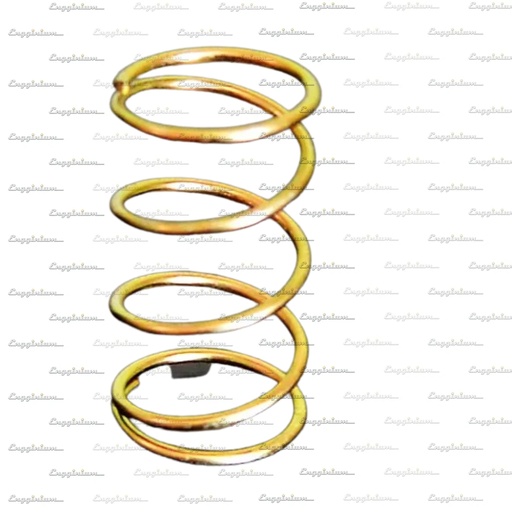 217019-Valve spring