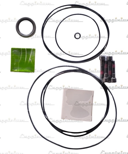 191051-Sealing set [CWP/I, 880512]