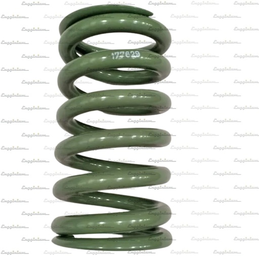121004/121010-Spring for in/ex valve, W34