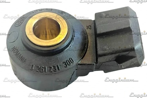 Knock sensor
