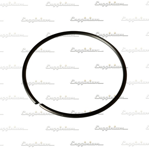 121014-Retainer ring for rotocap, W32 [TRW]