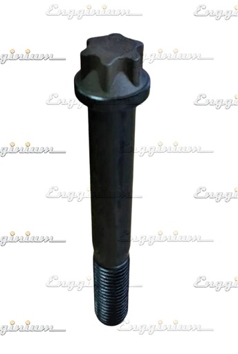 113008-Torx screw, [CP]