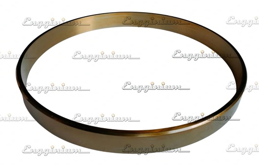 100156-Anti-polishing ring, V34SG