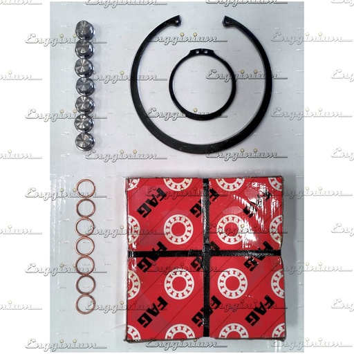 181077-Service kit, L.O. Pump [181-0025, Sealing set]