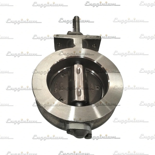 Butterfly valve, W34SG [Somas, DN125]