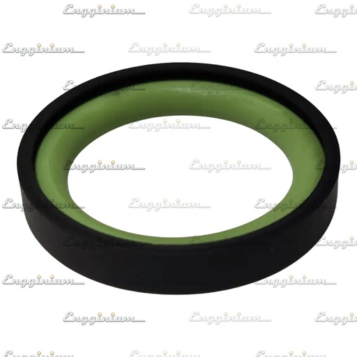 Sealing ring [880480, PTFE ring+O-ring]