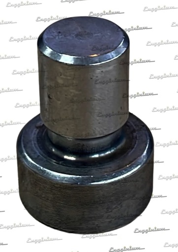 Pin, W46 [for valve yoke]