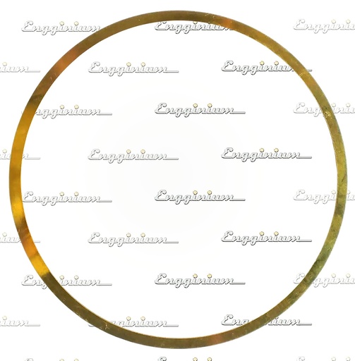 100173-Shim for liner, V32 [0.5 mm]