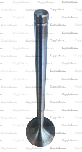 121012-Inlet valve 20° [TRW]