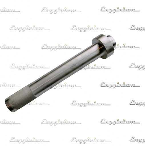 846021-Mounting tool for seal of water pump, W20