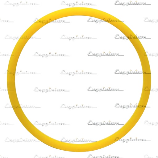 Support ring [880036]
