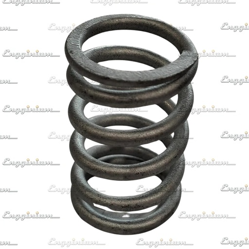 124044.04-Compression spring [PCV]